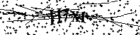 请输入下面的字母和数字